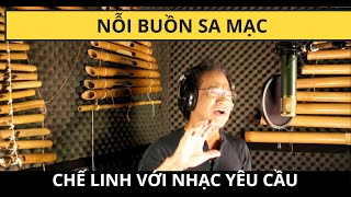 Chế Linh với Nhạc Yêu Cầu | NỖI BUỒN SA MẠC