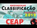 🔴 [Classificação CEAP] Classificação da Insuficiência Venosa Crônica, Varizes e relacionados ✅