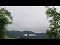 有害鳥獣駆除　カワウ　はずれ　2020 05 31　４Ｋ