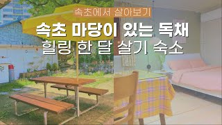 속초 한 달 살기 숙소 추천🏡 나만의 마당이 있는 속초 독채에서 살아보기ㅣ리브애니웨어, 강원도 한달살기, 속초 숙소 추천