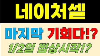 [네이처셀 주가전망] 마지막 기회다?! 1/2 쩜상시작?!