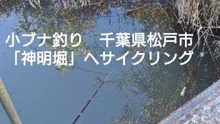 葛飾クチボソ釣行　2021-11-2  小ブナ釣り場[神明堀]へ