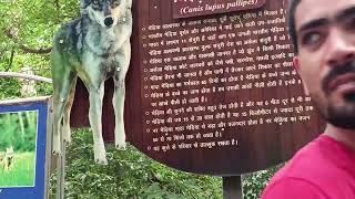 patna zoo Bihar Patna chidiyaghar, Sanjay Gandhi jaivik uddyan #Zoo blogs