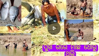 ଦେଶୀ ମାଛ ଧରୁ ଥିଲି #sunday fish 🐟 curry #Net fish#pankajini family vlogs