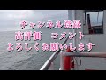 【ハイエース千葉県の旅】木村ピーナッツ u0026道の駅ちくら潮風王国 u0026野島崎灯台へ絶景と美味しい海鮮丼