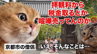 【京都市】借金8600億円!? なぜ第二の夕張市とウワサされているのか？  #猫マニ #猫ミーム