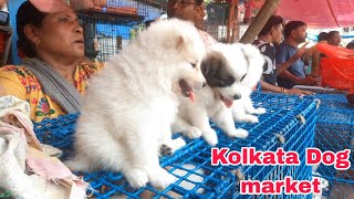 Labrador.Golden retriever..husky..German shepherd..Beagle..pomeranian..Doberman..Spitz..lasa..etc