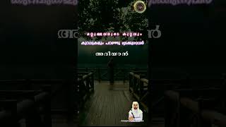 മറ്റുള്ളവരുടെ കുറ്റവും കുറവുകളും പറഞ്ഞു നടക്കുന്നവർ അറിയാൻ #malayalam #motivation