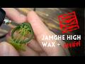 JamgHe High Wax Plus Castable Resin Review