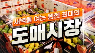 새벽을 여는 뮌헨 최대의 도매시장