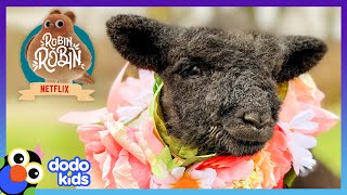 Fluffy Sheep Is Obsessed With Becoming A Dog | Best Animal Friends | Dodo Kids