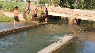 Haryana Ka  Desi swimming pool