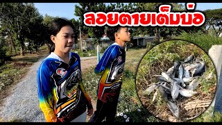 งานเข้าสิ้นปี ปลาเราลอยตายอีกแล้ว! | เด็กตกปลา