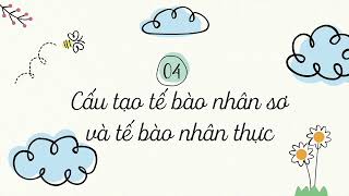 Bài 12: Tế bào - đơn vị cơ sở của sự sống (phần 2)- KHTN 6 Cánh Diều