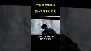 迷子になった愛犬を7カ月も探し続けた老人！！🐶