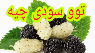 سودی توو چیە بۆ تەندروستی مرۆڤ