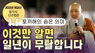 [정목스님 신년법문]이것만 알면 일년이 무탈합니다/토끼해의 숨은 의미