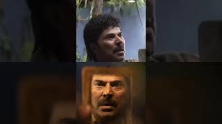 Nanpakal nerathu mayakam #lijojosepellissery #mammootty #mammookka #ljp #vineethsreenivasan