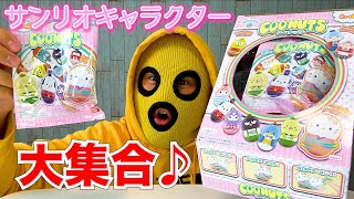 サンリオクーナッツ1BOX開封でコンプ達成なるか！？