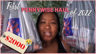 My BIGGEST PENNYWISE Haul (with prices) | Everything I'm taking to Italy + More