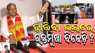 ହାରିବା ଭୟରେ ରକ୍ତ ମୁଖା ବିଜେଡି ! Sambhabanalive