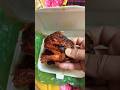 Best Chicken grill in Bangladesh😋#shorts #viralvideo