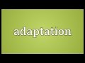 Adaptation Meaning