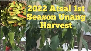 2022 Atsal 1st Season Unang Harvest