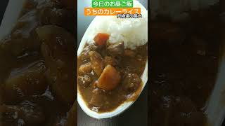 今日のお昼ご飯【うちのカレーライス】安物達の集い♪2023/9/30