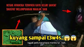 CAMPING HORROR, BERKEMAH DI HUTAN LARANGAN RAWAN KUYANG KALIMANTAN