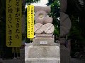 ⚠️必ず見てください⚠️本日一粒万倍日！※この動画を再生したらお金がドンドン増えていきます🌈✨ 金運上昇 運気上昇 スピリチュアル パワースポット 遠隔参拝