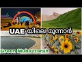 GREEN MUBAZZARAH PARK AL AIN | JABAL HAFEET |