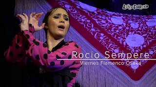 Rocio Sempereフラメンコライブ動画 ｜Solea