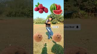 Rounding coconut to watermelon mango grapes litchi magical video 🪄 #trandingshorts #shorts