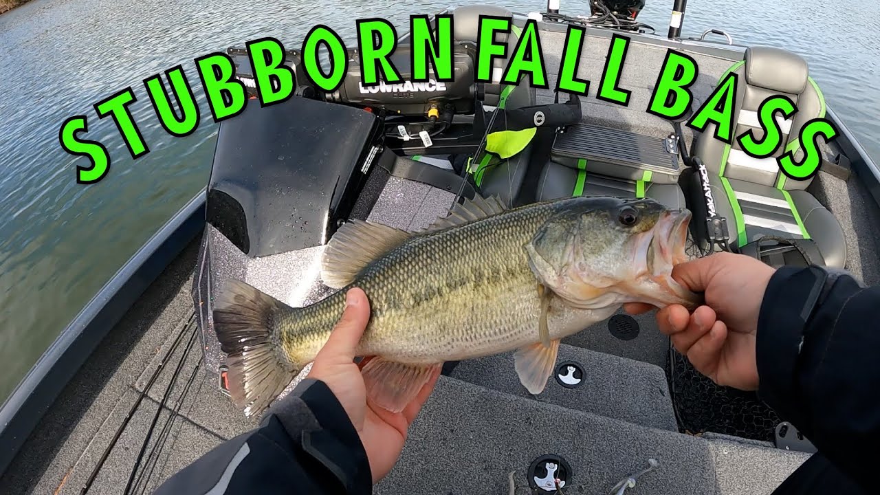 Found A Few Late Fall Bass - YouTube