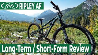 Ibis Ripley AF: Long-Term / Short-Form Review | BLISTER