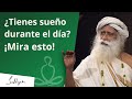 ¿Por qué te sientes bajo de energía todo el día? | Sadhguru