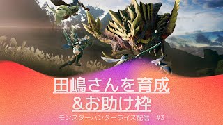 【モンハンライズ】ＨＲ７までの道、あとサブキャンプとか【参加型】