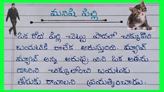 Telugu Stories Writing // మనిషి పిల్లి // Telugu Moral stories for students 2024