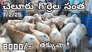 Cheluru Sheeps Market Every Friday 🐏😱🐑