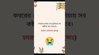 কবরের চাপ পৃথিবীর সকল কষ্টকে হার মানাবে।