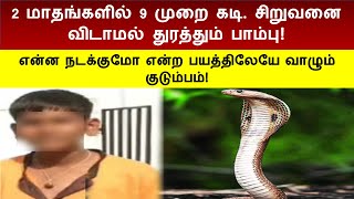 Snake Chasing The Boy | Snake Bite Boy | Cobra Vs boy | Cobra follows Boy | Viral Video