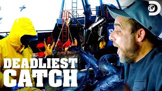 The Saga's New Haul: Black Cod? | Deadliest Catch