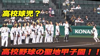 【タイガース高校にしか見えない！揃ってキャッチーフライを見上げるタイガースノック！！】阪神対広島