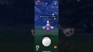 ポケモンGO❗️ああ〜⁉︎🤭個体値100%😱色違い🌟ボルトロス霊獣✨出現😍心臓止まった🫀😨