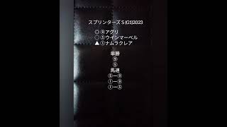 【スプリンターズＳ(G1)】2023予想🐴『⑨アグリ単勝30万円買ったら配当150万円💓』⑤ウインマーベル単勝30万円買ったら配当450万円👍️