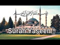 Surah Yaseen Merdu Full Terjemahan Bahasa Indonesia