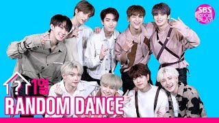 [랜덤1열댄스] RANDOM 1LINE DANCE 스트레이키즈(Stray Kids) 스키즈의 잔망대잔치❤️