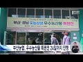 부산농협 우수농산물 특판전 24일까지 진행 2024 11 22 금 뉴스데스크 부산mbc