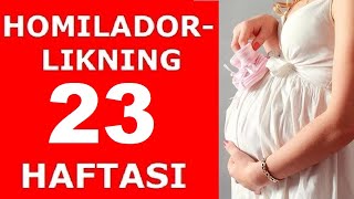 HOMILADORLIKNING 23-HAFTASI / ХОМИЛАДОРЛИКНИНГ 23-ХАФТАСИ